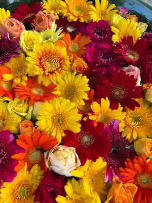 彌都加伎神社の手水舎