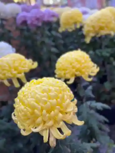 日吉大社(滋賀県)