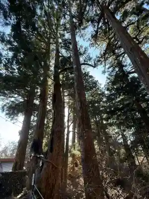 玉置神社(奈良県)