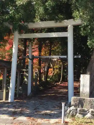 飯野高宮神山神社の鳥居