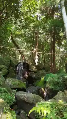 出雲大神宮(京都府)