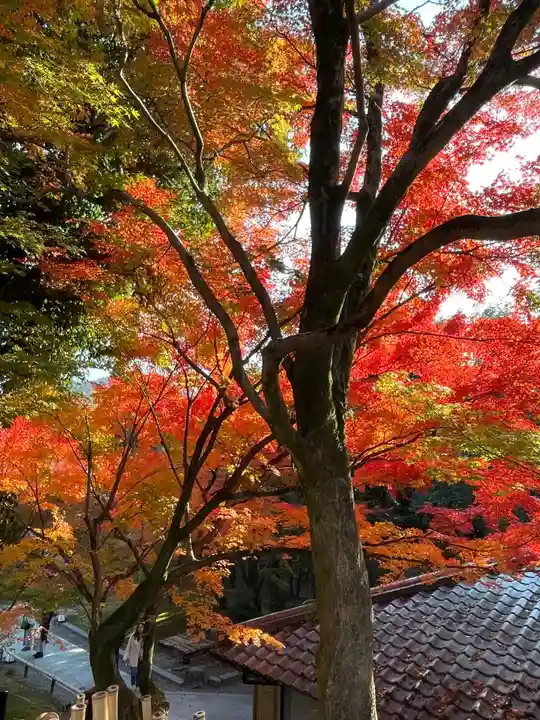 平等院(京都府)