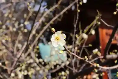 三津厳島神社(愛媛県)