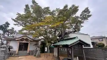 荒神社(徳島県)