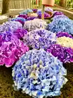 館腰神社(宮城県)