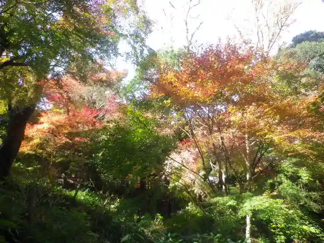 浄智寺の自然