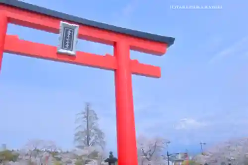 富士山本宮浅間大社(静岡県)