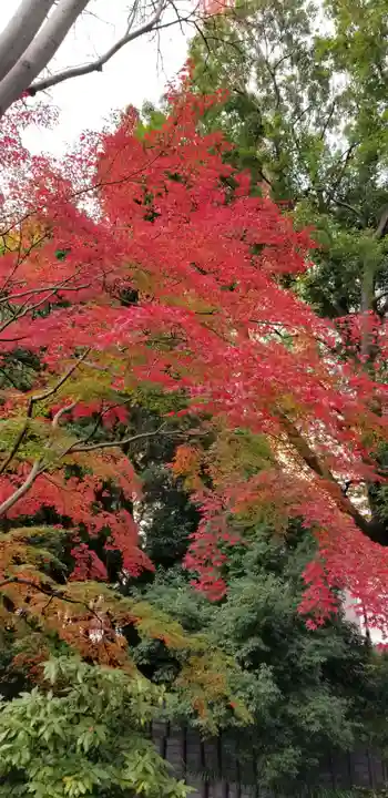 増上寺塔頭 三縁山 宝珠院の周辺