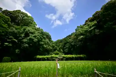 猿田彦神社(三重県)