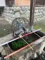 白金龍王社(愛知県)