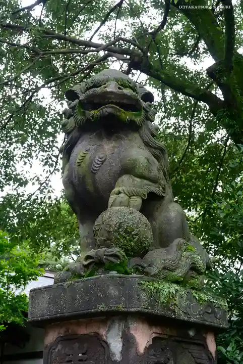 阿佐ヶ谷神明宮の狛犬