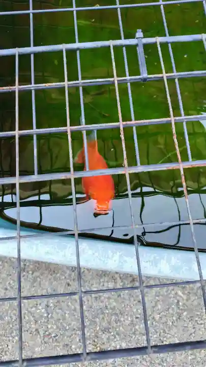 下総国三山 二宮神社(千葉県)