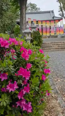 玉田神社(京都府)