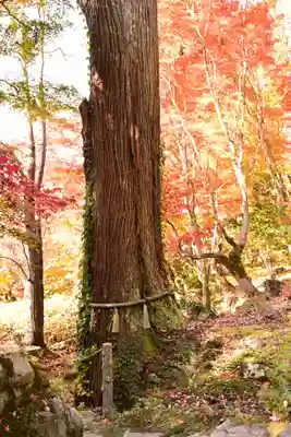 百済寺(滋賀県)