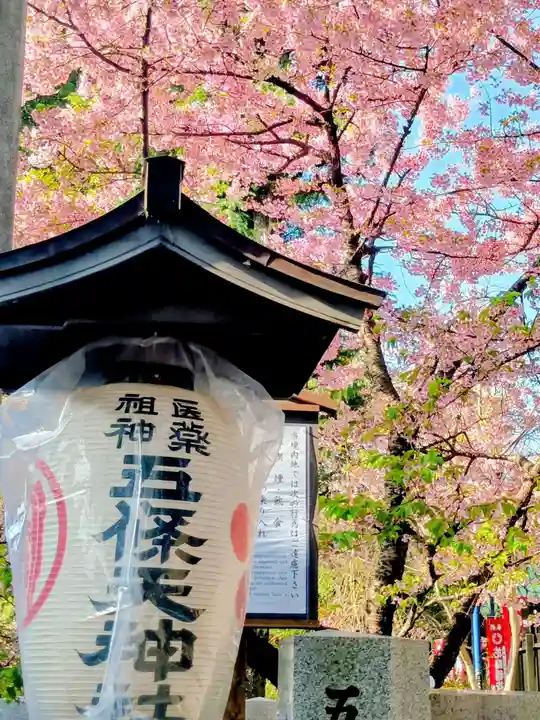 五條天神社(東京都)
