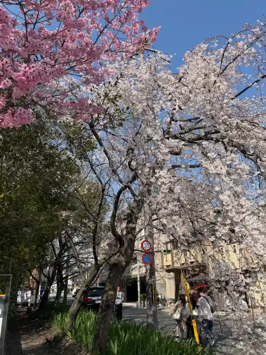 平野神社の{uncategorized: "未分類", other: "その他", undefined: "問題あり", building: "その他建物", grave: "お墓", sacred_gate: "鳥居", guardian: "狛犬", statue: "像", buddha: "仏像", history: "歴史", nature: "自然", garden: "庭園", animal: "動物", pagoda: "塔", temizu: "手水舎", mountain_gate: "山門・神門", sanctuary: "本殿・本堂", subordinate: "末社・摂社", art: "芸術", scenery: "景色", jizo: "地蔵", ema: "絵馬", goshuin: "御朱印", omikuji: "おみくじ", items: "授与品その他", amulet: "お守り", goshuincho: "御朱印帳", eats: "食事", festival: "お祭り", votive_dance: "神楽", shichigosan: "七五三参", wedding: "結婚式", experience: "体験その他", initially: "初詣", around: "周辺", anti_infection: "感染症対策"}