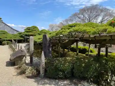 善峯寺(京都府)