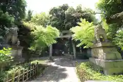 赤坂氷川神社(東京都)