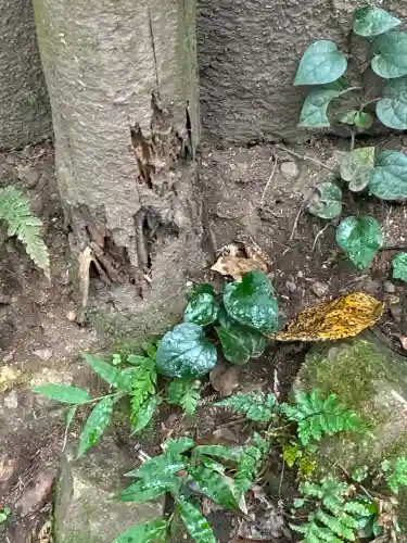伊豆山神社(静岡県)
