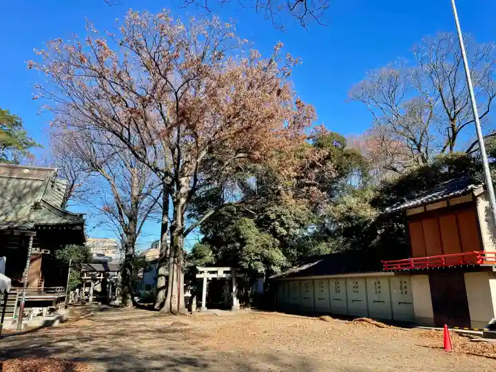 丸子山王日枝神社(神奈川県)
