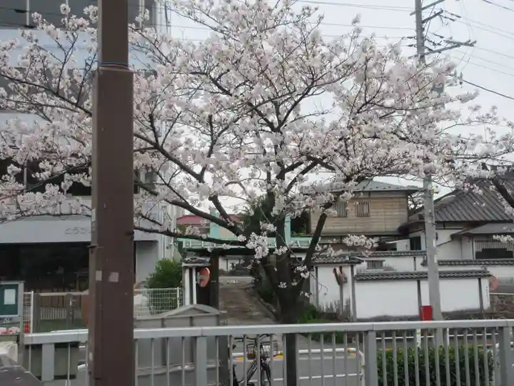 海徳寺(東京都)