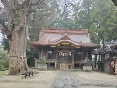 素鵞神社の本殿・本堂