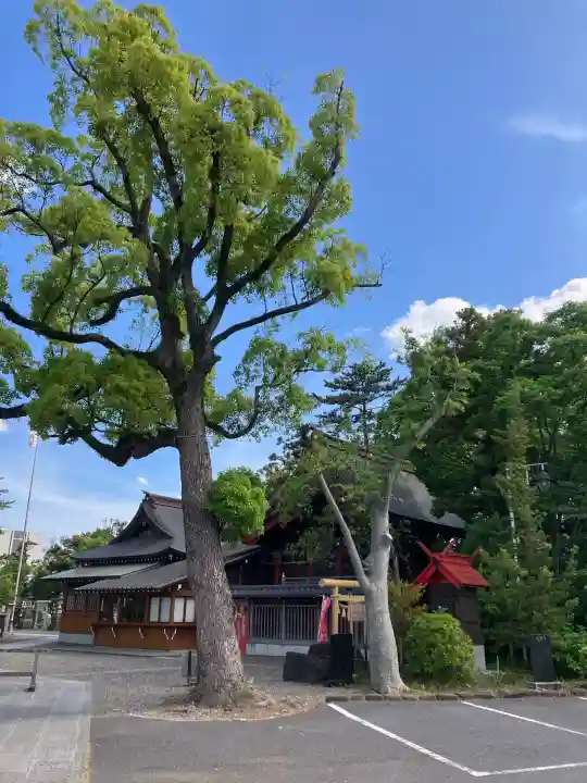 大宮神社の{uncategorized: "未分類", other: "その他", undefined: "問題あり", building: "その他建物", grave: "お墓", sacred_gate: "鳥居", guardian: "狛犬", statue: "像", buddha: "仏像", history: "歴史", nature: "自然", garden: "庭園", animal: "動物", pagoda: "塔", temizu: "手水舎", mountain_gate: "山門・神門", sanctuary: "本殿・本堂", subordinate: "末社・摂社", art: "芸術", scenery: "景色", jizo: "地蔵", ema: "絵馬", goshuin: "御朱印", omikuji: "おみくじ", items: "授与品その他", amulet: "お守り", goshuincho: "御朱印帳", eats: "食事", festival: "お祭り", votive_dance: "神楽", shichigosan: "七五三参", wedding: "結婚式", experience: "体験その他", initially: "初詣", around: "周辺", anti_infection: "感染症対策"}