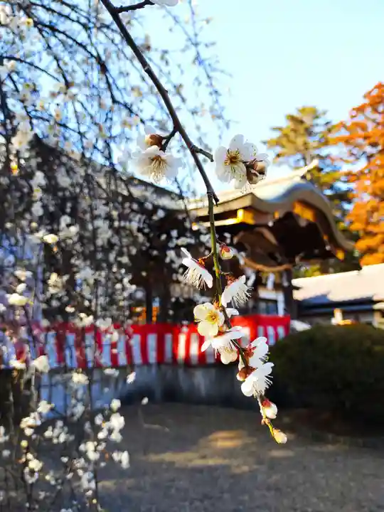 水海道天満宮(茨城県)