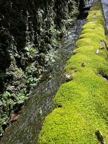 日光二荒山神社(栃木県)
