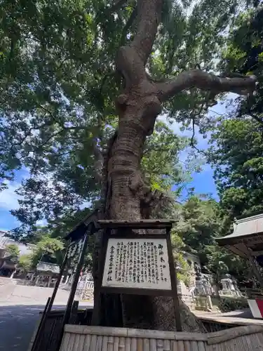 金華山黄金山神社(宮城県)