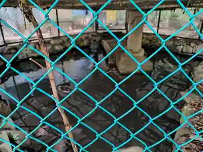 垂水神社(大阪府)