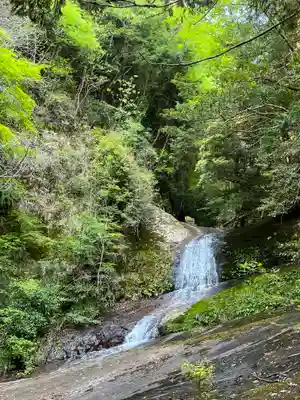 室生龍穴神社 奥宮の自然