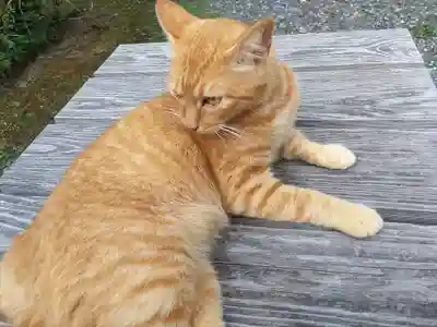 小松寺(千葉県)