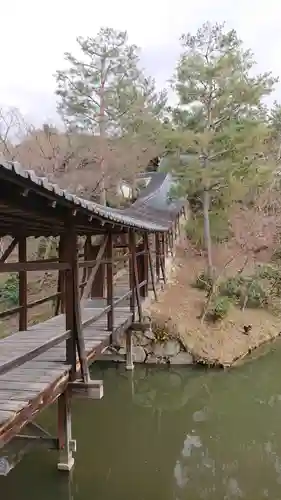 高台寺（高台寿聖禅寺・高臺寺）(京都府)