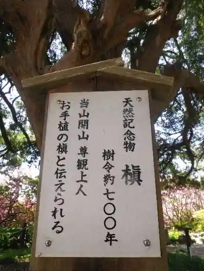 安養院 (田代寺)の歴史