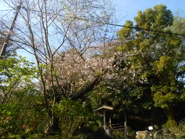 葛原岡神社の自然