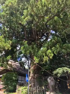 戸隠神社中社(長野県)
