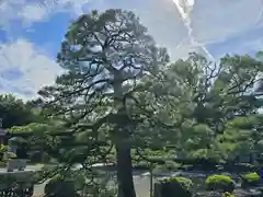 廣隆寺(京都府)