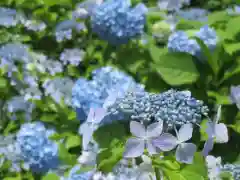 上戸田氷川神社(埼玉県)