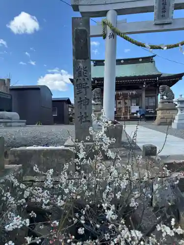 熊野福藏神社の鳥居