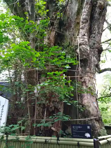 加藤神社(熊本県)