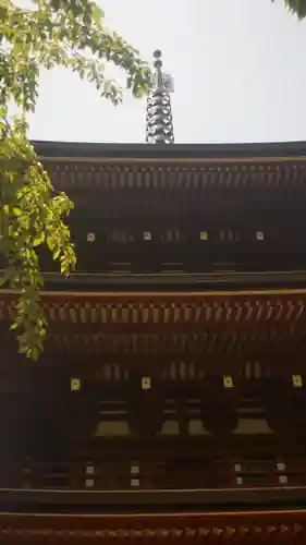 岡寺（龍蓋寺）(奈良県)