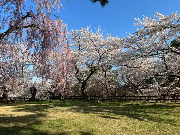 青森縣護國神社の自然