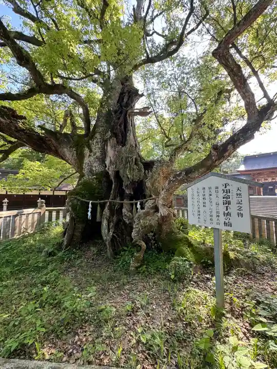 大山祇神社(愛媛県)