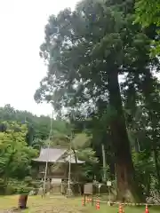 白山神社の自然