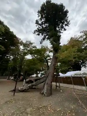 武水別神社(長野県)