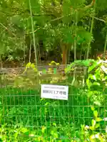 神光寺(大阪府)