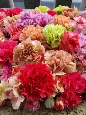 平田神社(東京都)