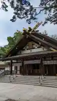 新琴似神社の本殿・本堂