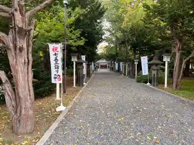 新琴似神社の七五三参
